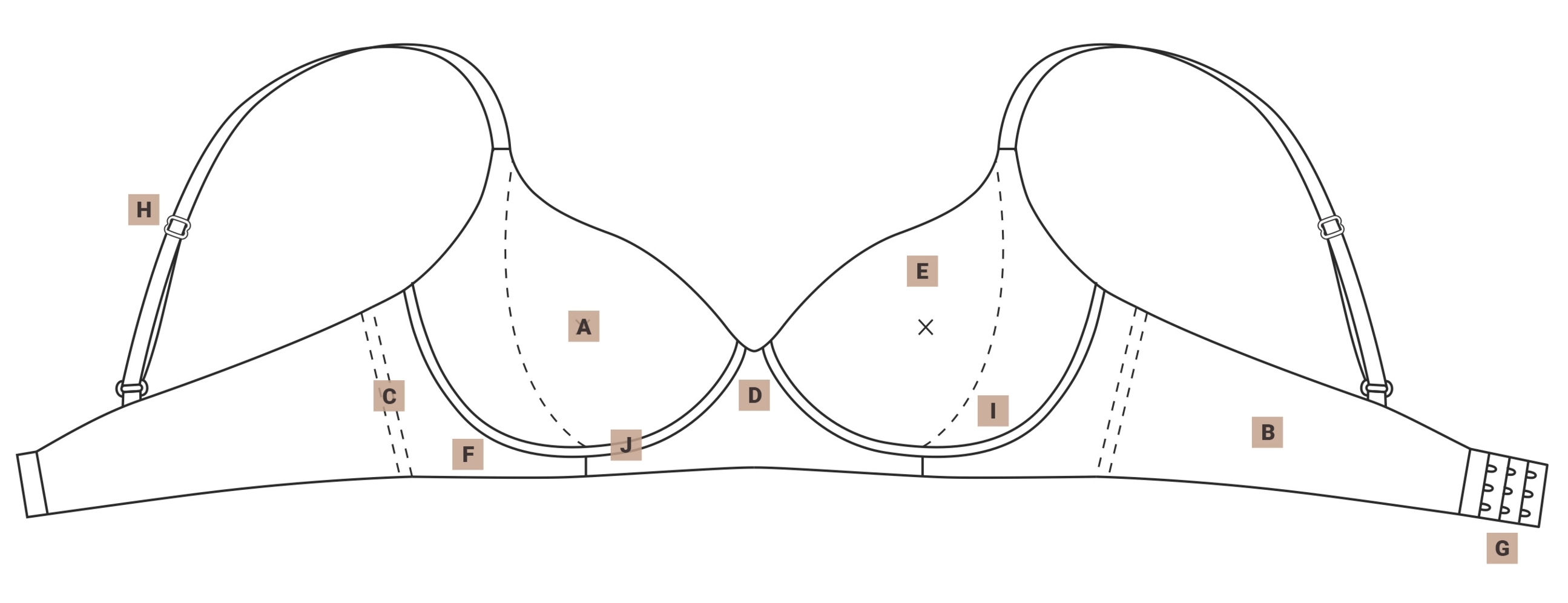 A Comprehensive Guide To Bra Anatomy