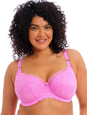 Buy Women Super Fit Hot-Pink plus Size Large Cup Regular Big Bra Online