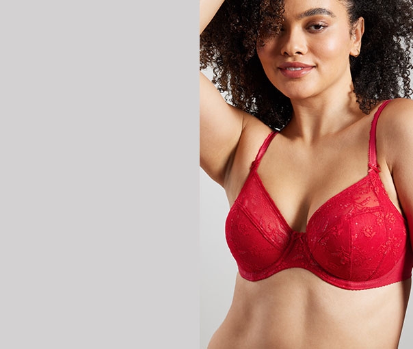 Wacoal Holiday Lingerie